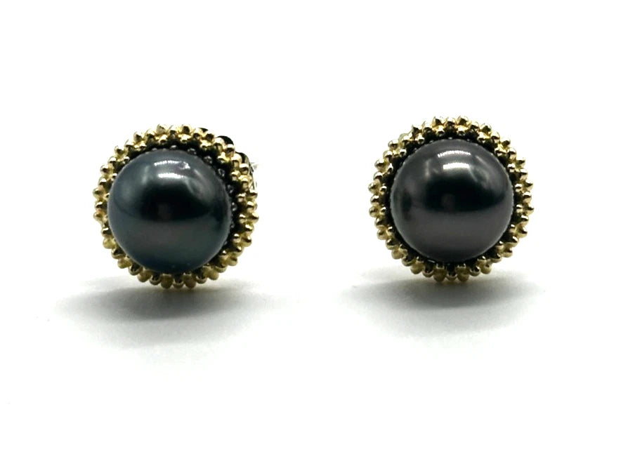 18k/14k/SS LAGOS Tahitian Pearl Stud Earrings